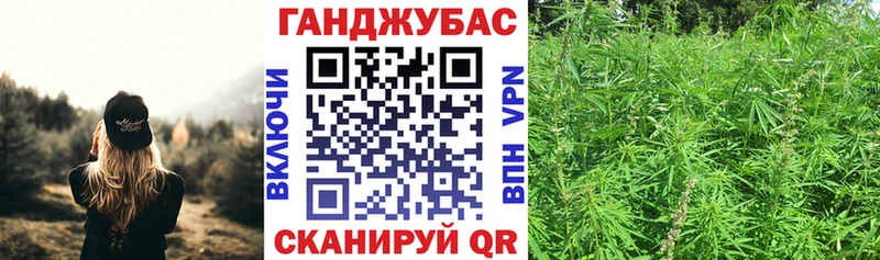 Конопля план  Купить  Инза 